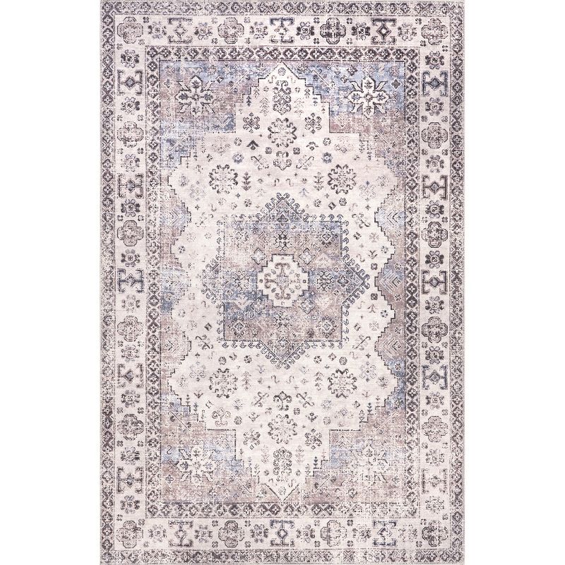 Sharyn Traditional Vintage Cotton Area Rug, 1 of 11