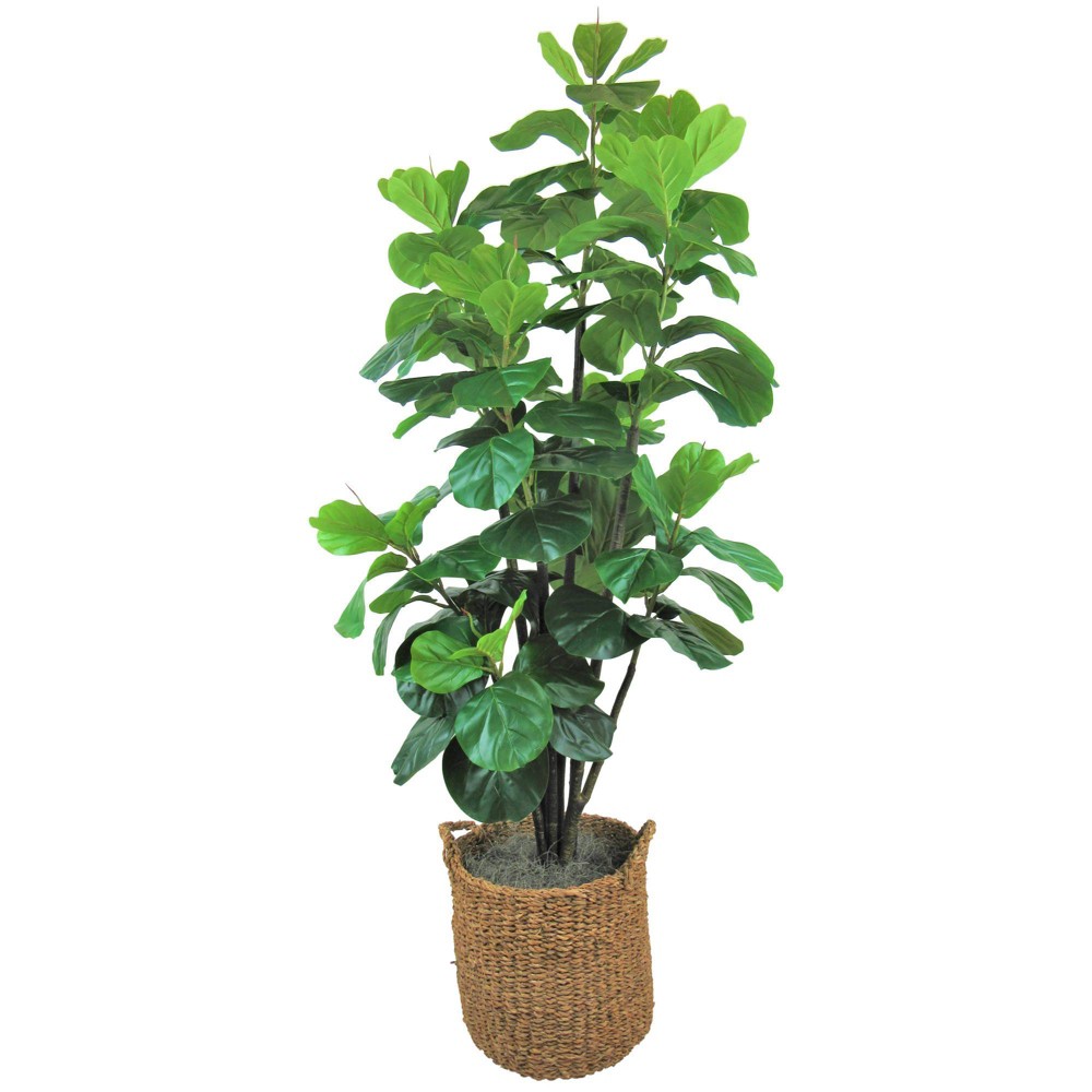 6 Artificial Fiddle Leaf Fig Tree in Basket with Handles LCG Florals For Sale