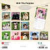 BrownTrout Shih Tzu Puppies 2026 12"x24" Hanging Square Wall Calendar Plastic-Free - 2 of 4