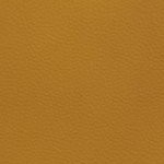 seth freakin rollins