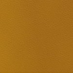 seth freakin rollins