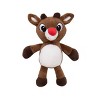 Rudolph the Red-Nosed Reindeer Swaddle Plush and Blanket Baby Toy - 4 of 4