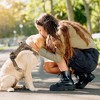 Unique Bargains Breathable Mesh Dog Harness 1 Pc - 2 of 4