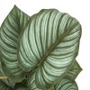 GlasFlength Artificial Plants Small Fake Plants Artificial Grass Plants Faux Plants for Indoor Home Table Decoration, Green, 12"*12"*12.5" - 4 of 4