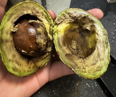 Guest review image 1 of 1, zoom in