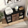 Gulches 2 Drawer File Cabinet, Large Mobile Lateral Filing Cabinet for Letter Size, Printer Stand with Storage Shelves and Rolling Wheels - 3 of 3