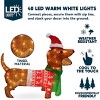 JOYFY 30’’ Christmas Yard Lights Outdoor Decoration, Wiener Dog with 40 LED Warm White Yard Light for Christmas Indoor Outdoor Yard Garden Decorations - 2 of 4