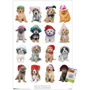 Trends International Keith Kimberlin - Puppies With Hats Unframed Wall Poster Prints - 1 of 4