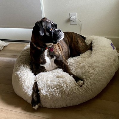 Guest review image 1 of 2, zoom in