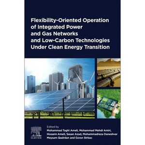 Flexibility-Oriented Operation of Integrated Power and Gas Networks and Low-Carbon Technologies Under Clean Energy Transition - (Paperback) - 1 of 1