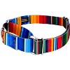 Country Brook Petz Martingale Dog Collar Country and Western Collection - 2 of 4