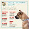 Country Brook Petz Deluxe Dog Collar - Critter Corner Collection - Made In The U.S.A. - 2 of 4