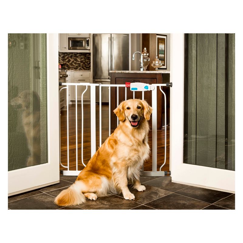 Carlson Extra Wide Cat and Dog Gate with Small Door, 2 of 4