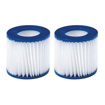 JLeisure Avenli 29P483 CleanPlus Small Anti Bacteria Filter Cartridge Replacement Part for the Avenli CleanPlus 300 Gallon Swimming Pool Pump, Blue