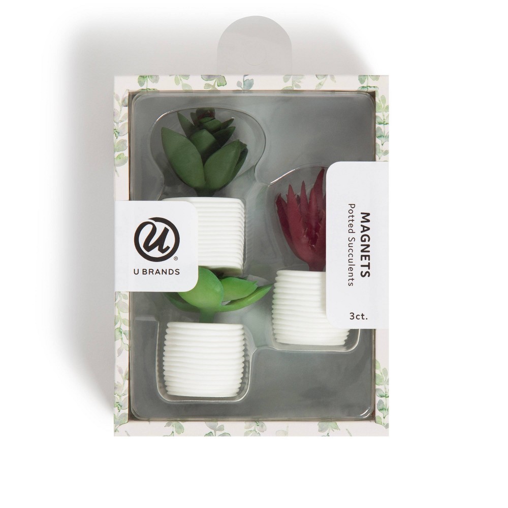 U Brands 3ct Succulent Plant Magnets
