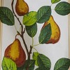 TAG Orchard Pear All Over Pear on Vine Print on White Background Cotton   Kitchen Dishtowel 26L x 18W in. - 2 of 2