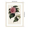 Amanti Art Pink Floral Mix III by Bette Ridgeway Wood Framed Wall Art Print - 4 of 4