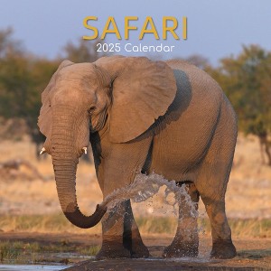 The Gifted Stationery 2025 Square Wall Calendar, Safari, 16-Month Natural World Theme with 180 Reminder Stickers (12x12 In) - 1 of 4