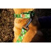 Country Brook Petz Martingale Dog Collar - Critter Corner Collection - 2 of 4