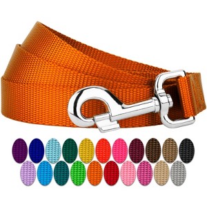 Country Brook Petz Nylon Dog Leash (3/8 Inch Wide) - 1 of 4