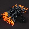 Novelty Lights 50 Light Incandescent Mini Christmas String Lights Black Wire 11 Feet - 4 of 4