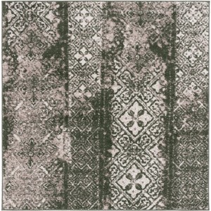 Adirondack ADR111 Non-Shedding Power Loomed Indoor Rugs - Safavieh - 1 of 4