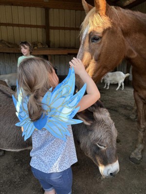 Guest review image 1 of 2, zoom in