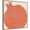 Amanti Art 22" x 22" Graphic Pomegranate Fruit I by Moira Hershey Framed Canvas Wall Art Print : Modern Canvas Art - 2 of 4