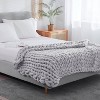 50"x60" Chunky Knit Throw Blanket - Dreamnest - 3 of 4