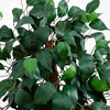 Nearly Natural 44-in Ficus Tree with Decorative Planter - image 3 of 4