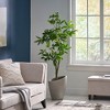 Cesicia 63 Inch Artificial Pachira Money Tree for Office Home Living Room Floor Patio Greening Porch Decor - 4 of 4