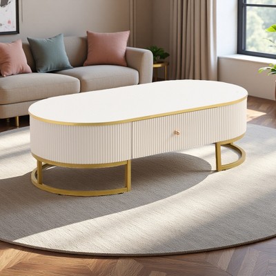 47.2" Modern Oval Coffee Table with Drawers