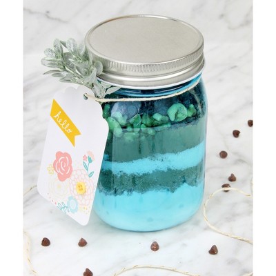 Retro Blue Plastic Mason Jars with Silver Lids, 16oz Set of 8