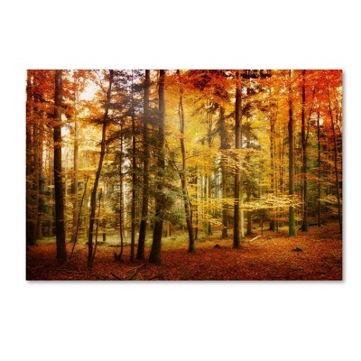  30" x 47" Brilliant Fall Color by Philippe SainteLaudy - Trademark Fine Art 