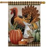 Briarwood Lane Fall House Flag 40x28 For Outdoor Primitive Thanksgiving House Flag Flag For Fall House Flag - 4 of 4