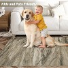 Abstract Rug Large Rugs Neutral Modern Washable Area Rugs Dining Non-Slip Stain Resistant Foldable Thin Rug - 4 of 4