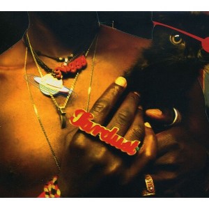 Saul Williams - Inevitable Rise and Liberation Of Niggy Tardust! (CD) - 1 of 1