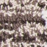 ivory/brown