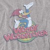 Men's Woody Woodpecker Retro Fade T-Shirt - 2 of 4