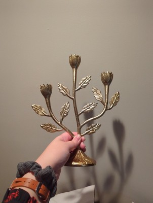 Guest review image 3 of 4, zoom in