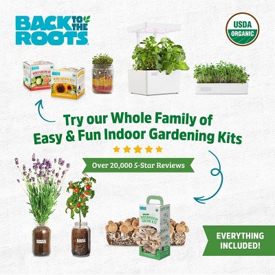 Back to the Roots Organic Strawberry Grow Kit
