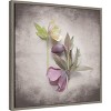 Amanti Art Vintage Hellebore Study VII by Felicity Bradley Framed Canvas Wall Art - 3 of 4