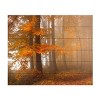 Trademark Fine Art Nicolas Schumacher Edge of The Autumn Woods Wood Slat Art - 3 of 4