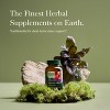 Gaia Herbs Adrenal Health Jump Start - Helps Sustain Healthy Energy and Stress Levels - 60 Vegan Liquid Phyto-Capsules - 3 of 4