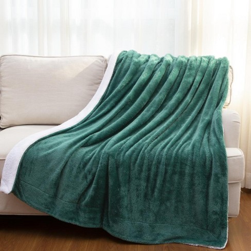 Cheer Collection Fuzzy Microfleece Throw Blanket 60