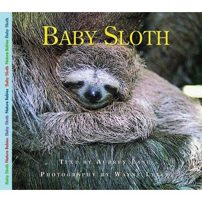 Baby Sloth - (Nature Babies (Paperback)) by  Aubrey Lang (Paperback)