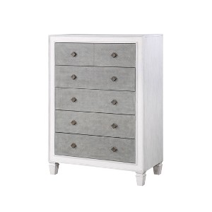 Katia Rustic Gray & Weathered White Finish Chest - 1 of 1