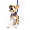 Midlee 4 Foot Dog Kennel Slip Lead Heavy Duty Nylon Pack of 10 - 4 of 4