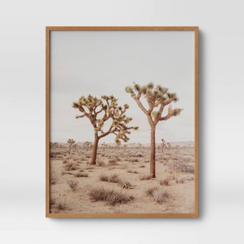 24 X 30 Joshua Tree Framed Print Threshold Target