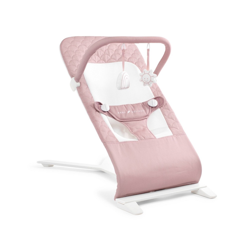 Photos - Other Toys Baby Delight Alpine Deluxe Portable Bouncer - Rose 